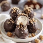 S’mores Truffles