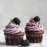 Blackberry Buttercream Chocolate Cupcakes Recipe