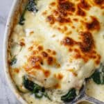 Creamy Chicken Spinach Casserole Recipe