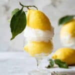 Lemon Sorbet Recipe
